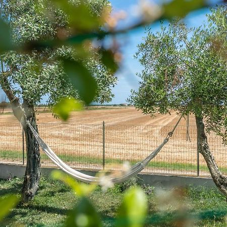 Ortopi Country Canapa House Porto Recanati Zewnętrze zdjęcie