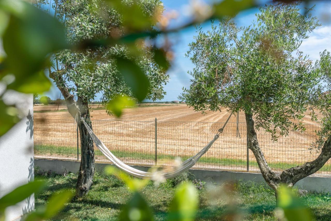 Ortopi Country Canapa House Porto Recanati Zewnętrze zdjęcie